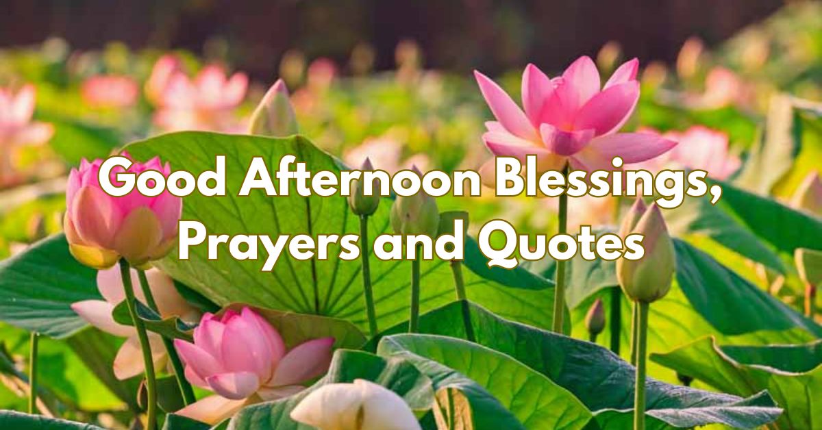 99+ Good Afternoon Blessings, Prayers and Quotes