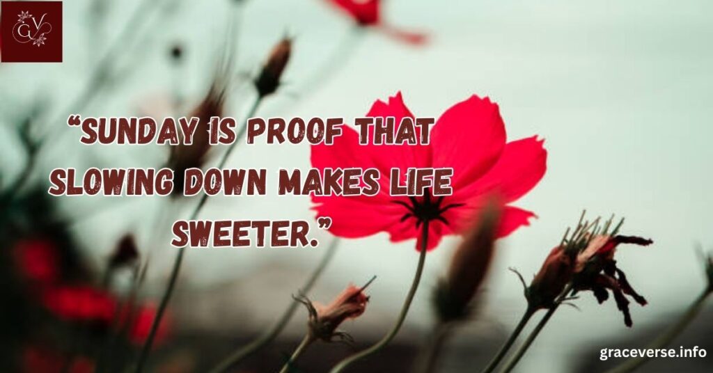 Best Funny Sunday Quotes to Brighten Your Day
