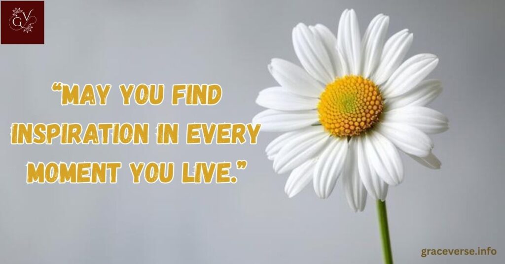 Best Wishes for a Beautiful Afternoon