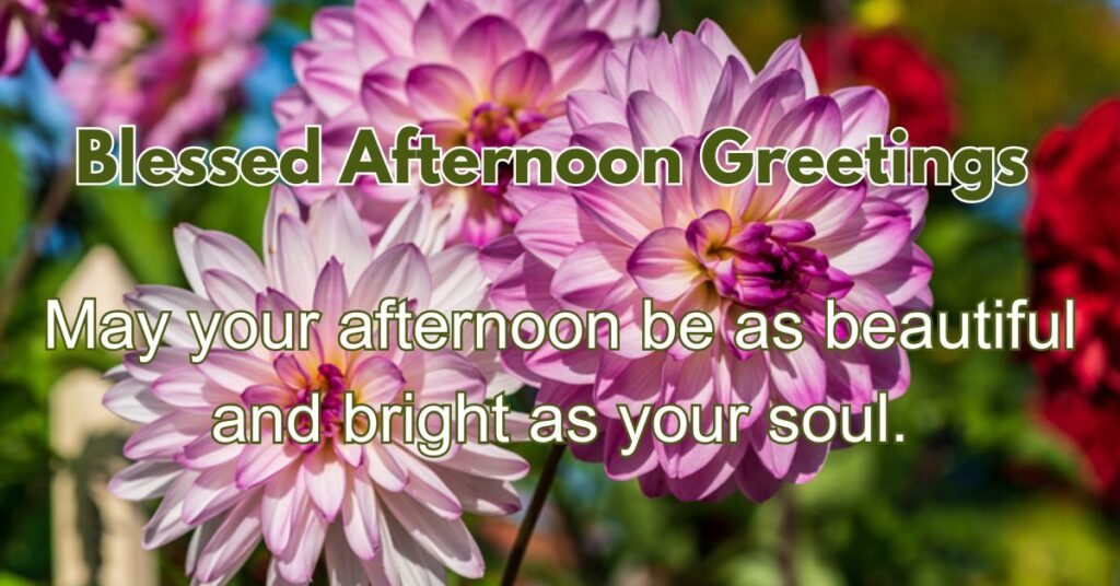 Blessed Afternoon Greetings for You