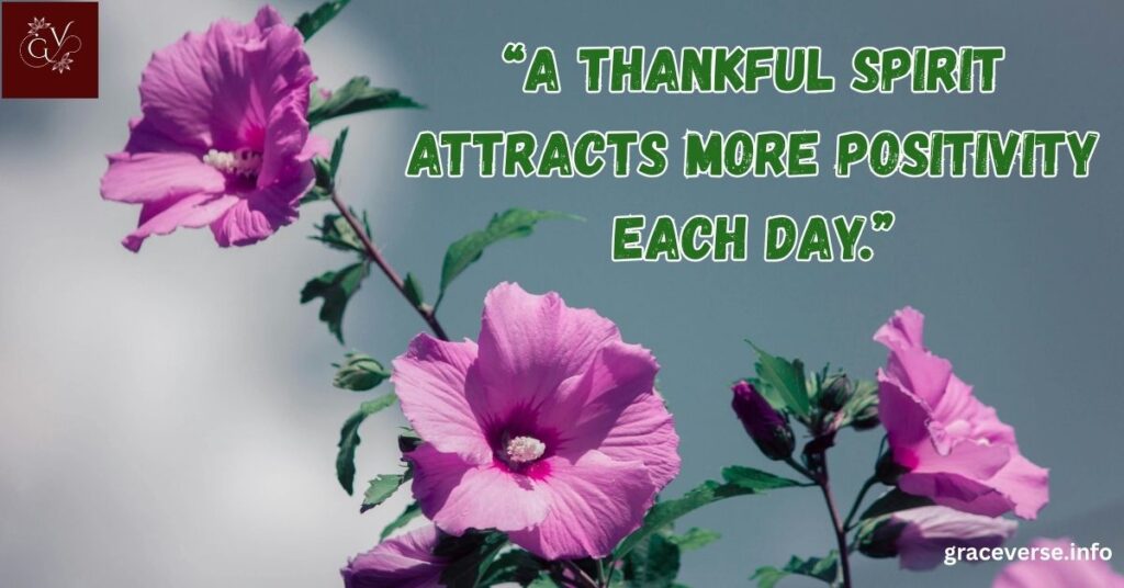 Gentle Reminders to Stay Grateful