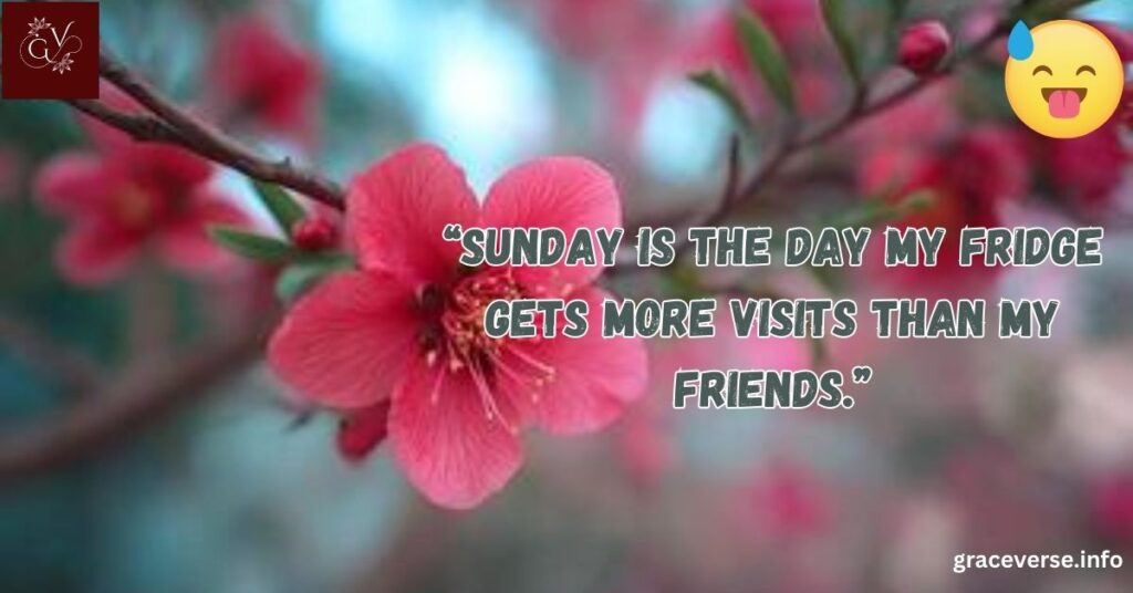 Hilarious and Relatable Funny Sunday Quotes
