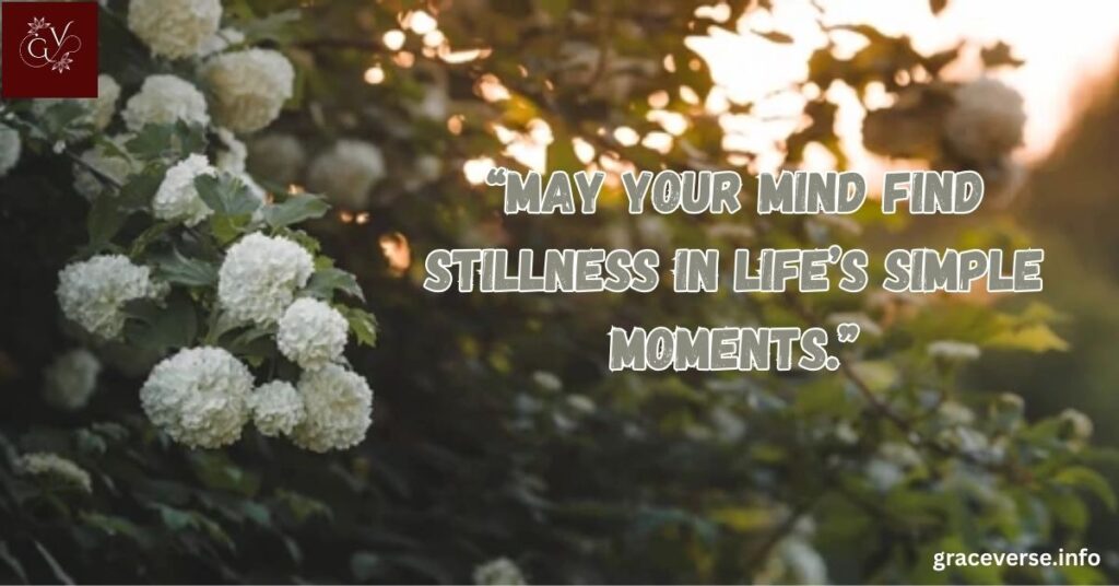Inspiring Afternoon Wishes for a Calm and Happy Mind