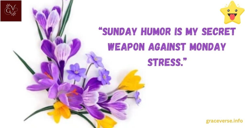Laughing at Monday with Funny Sunday Quotes