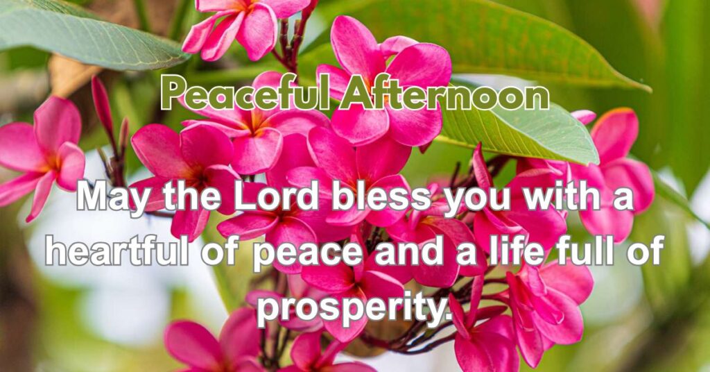 Prayers for a Peaceful Afternoon
