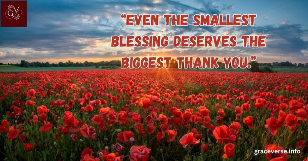 Quotes About Gratitude and Blessings in the Morning