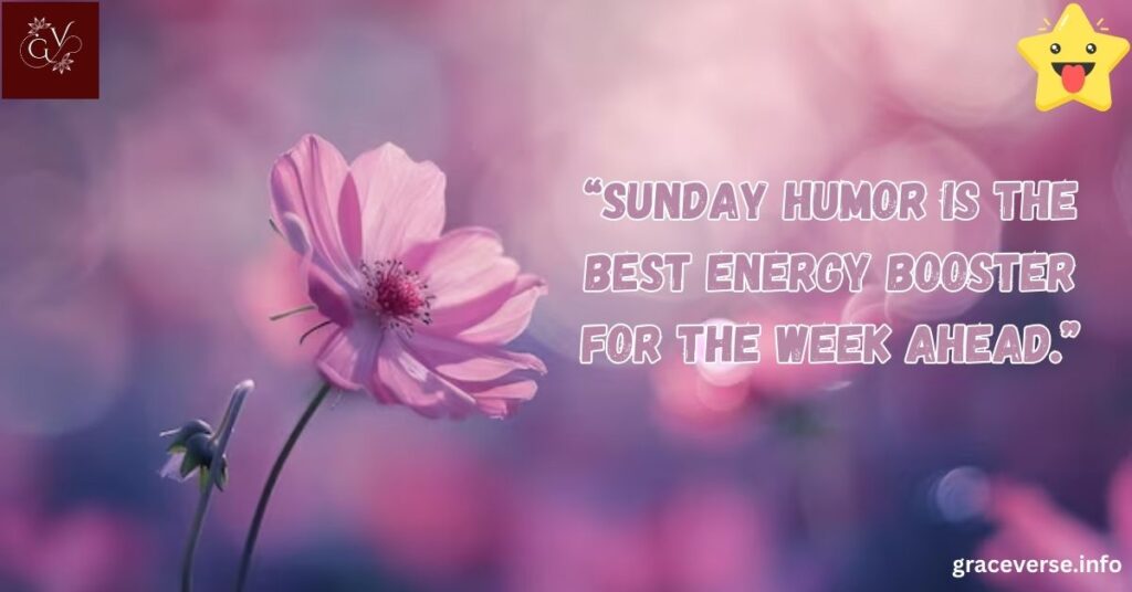 Witty Sunday Sayings for a Fun Weekend