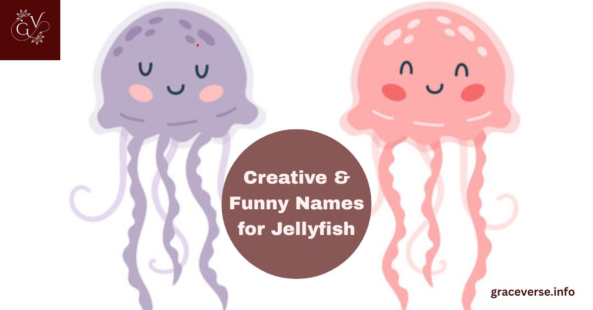 100+ Creative & Funny Names for Jellyfish