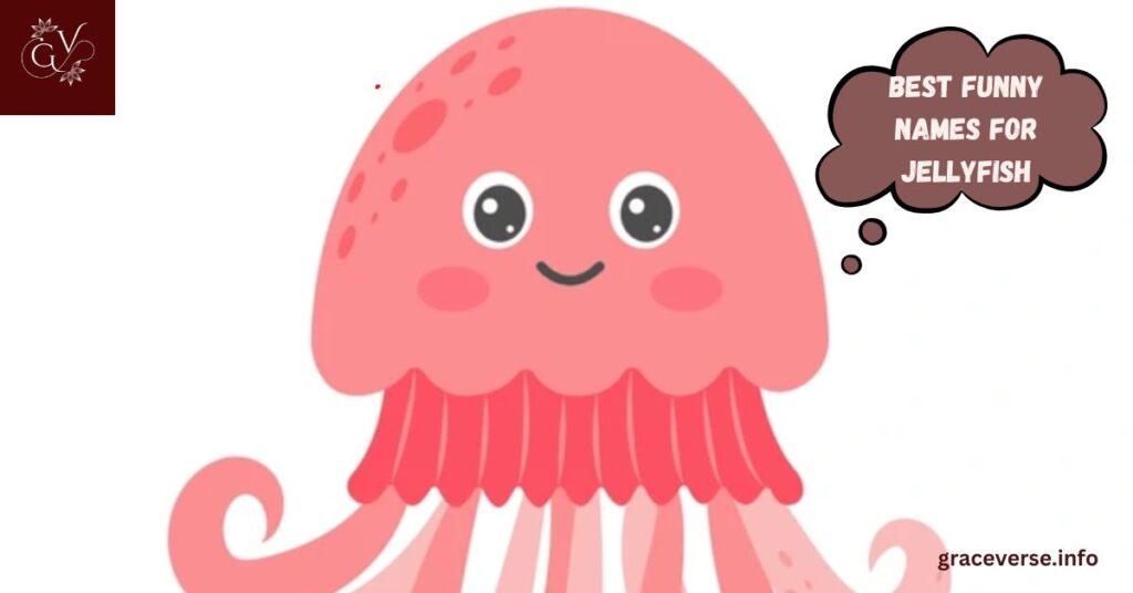 Best Funny Names for Jellyfish