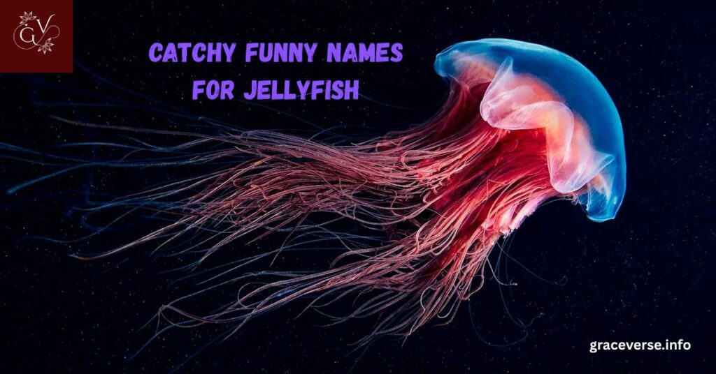 Catchy Funny Names for Jellyfish