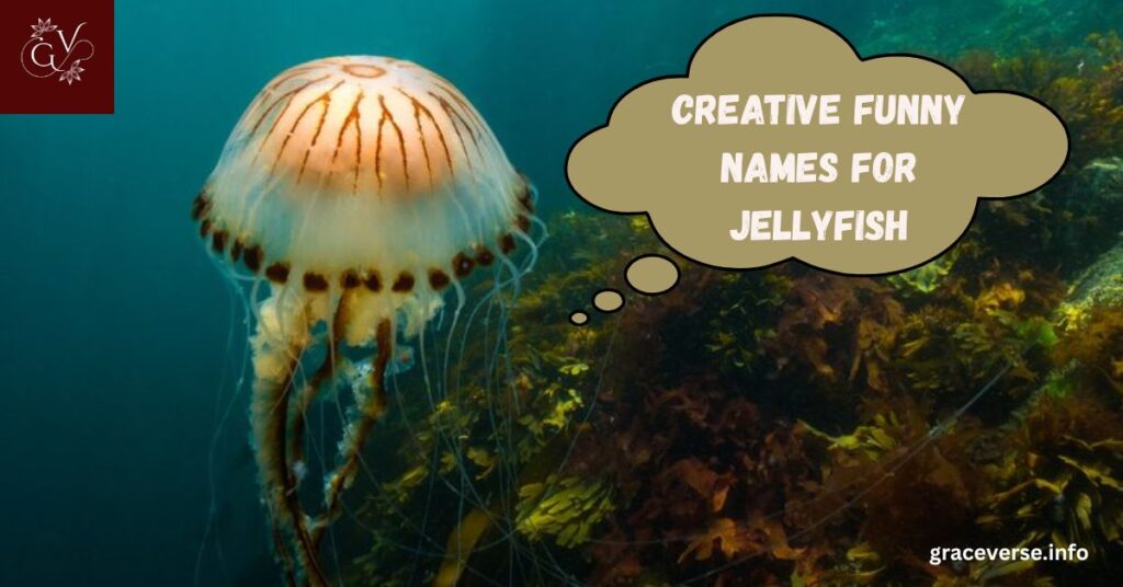 Creative Funny Names for Jellyfish