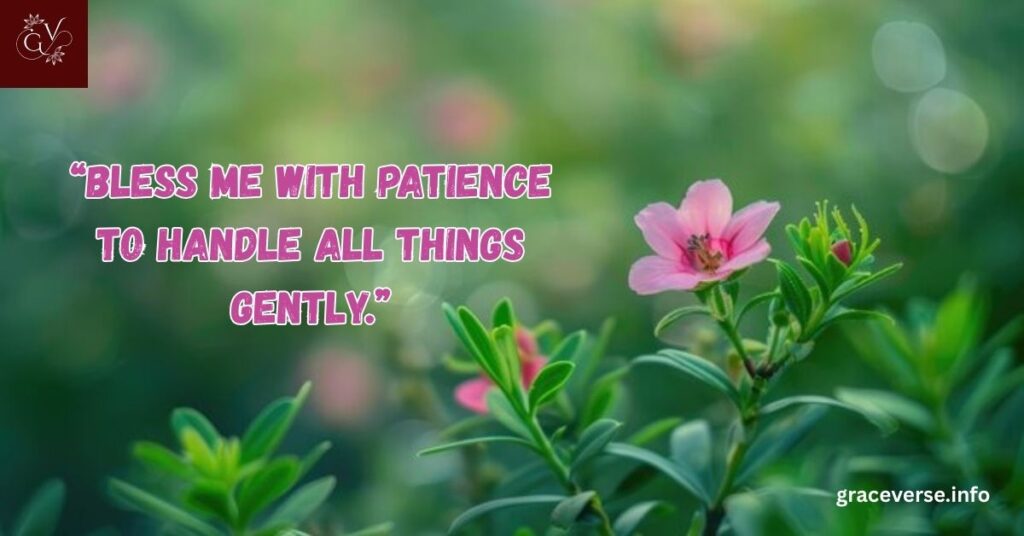 Gentle Prayers for Serenity on Tuesday Morning