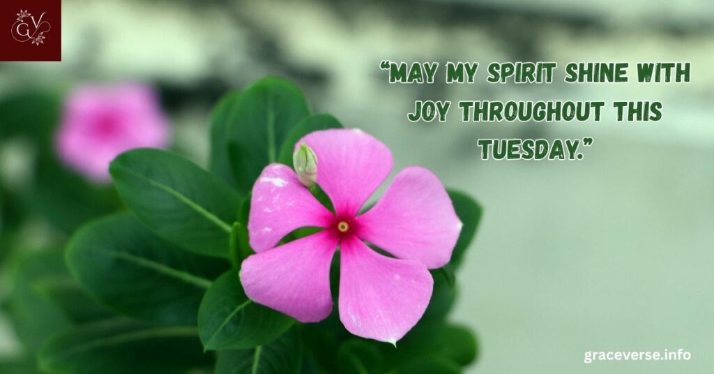Heartfelt Prayers for a Fresh Tuesday Start