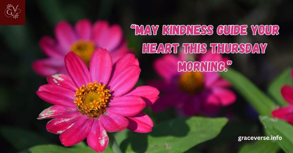 Joyful Thursday Morning Thoughts