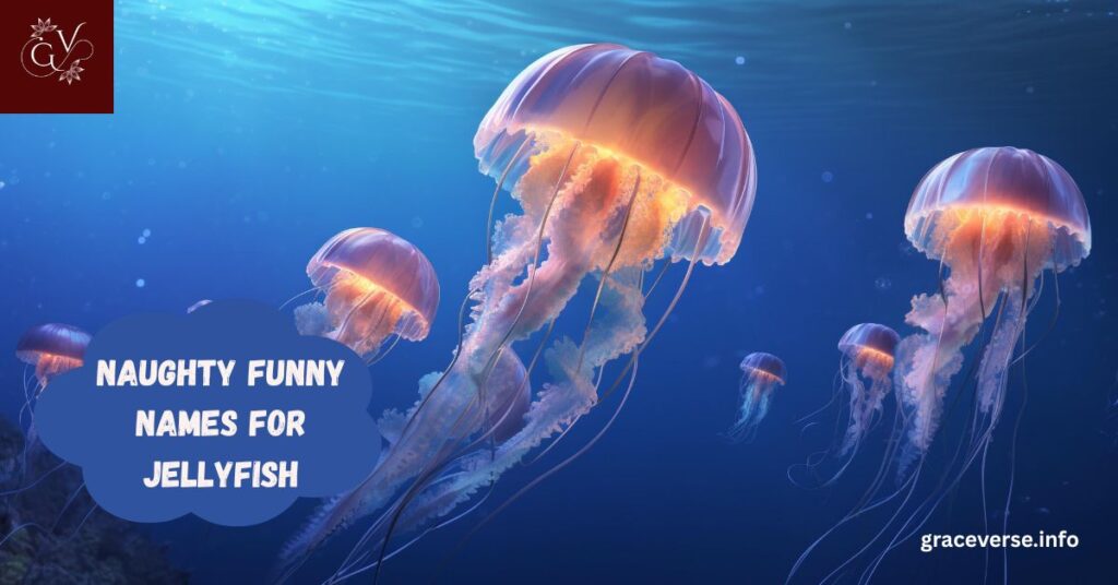 Naughty Funny Names for Jellyfish