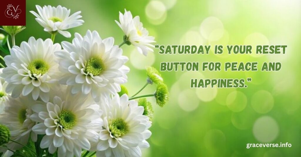 Saturday Morning Quotes for a Fresh Start