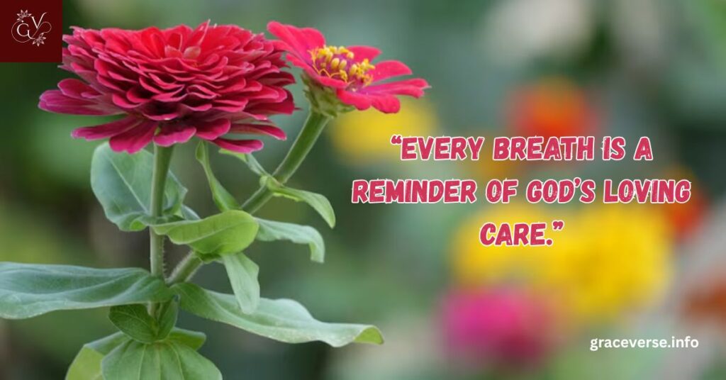 Thankful Morning Thursday Blessings