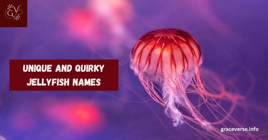 Unique and Quirky Jellyfish Names